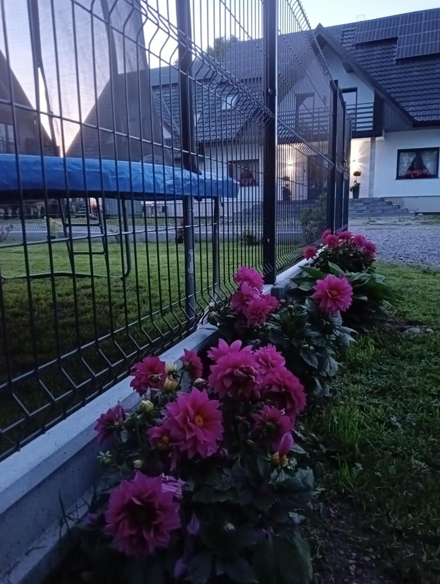 Apartament Skorusinka W Poblizu Chocholowskich Term Witów Exteriör bild